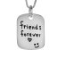 Anhänger " friends forever " :) aus 925 Silber inkl. Kette im Etui