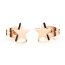 1 Paar Ohrstecker Stern aus 316L Edelstahl rosegold eloxiert