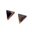 1 Paar Ohrstecker Wild Leo Triangle