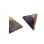1 Paar Ohrstecker Wild Leo Triangle