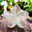 Haarklammer Lotus Holo transparent