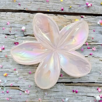 Haarklammer Lotus Holo glänzend
